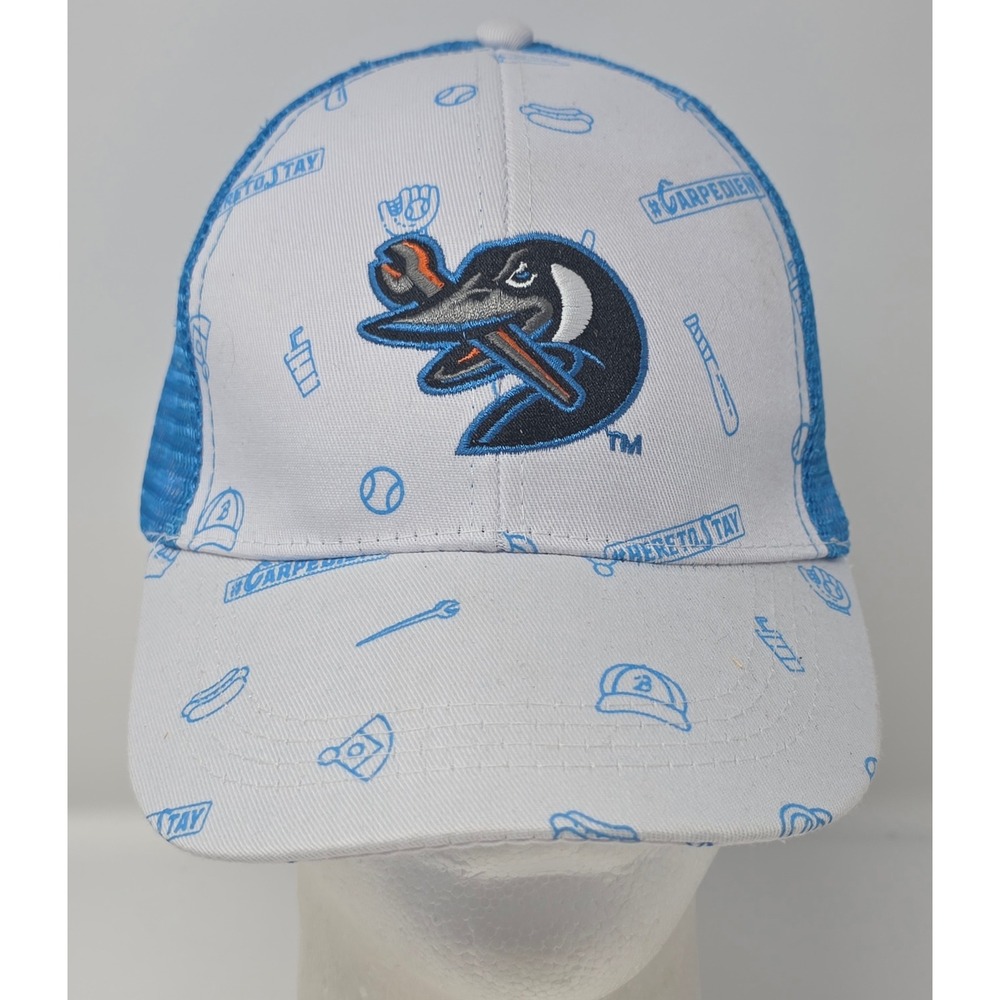Beloit Sky Carp Baseball Cap Strapback White Blue Mesh MiLB Trucker Hat